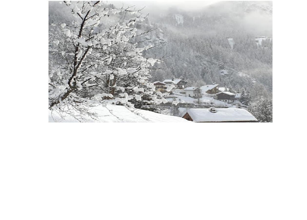 Valtournenche Appartamento Comodo Alle Piste Singlin Extérieur photo